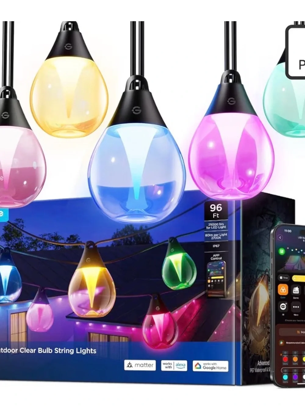 Govee clear bulb